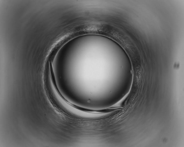 X0000098150728200804171612