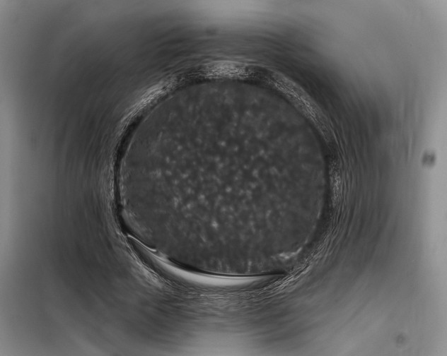 X0000098150729200804171612