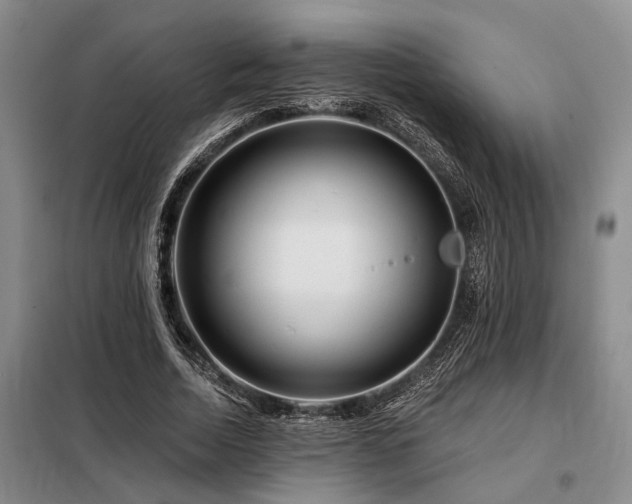 X0000098150730200804171612