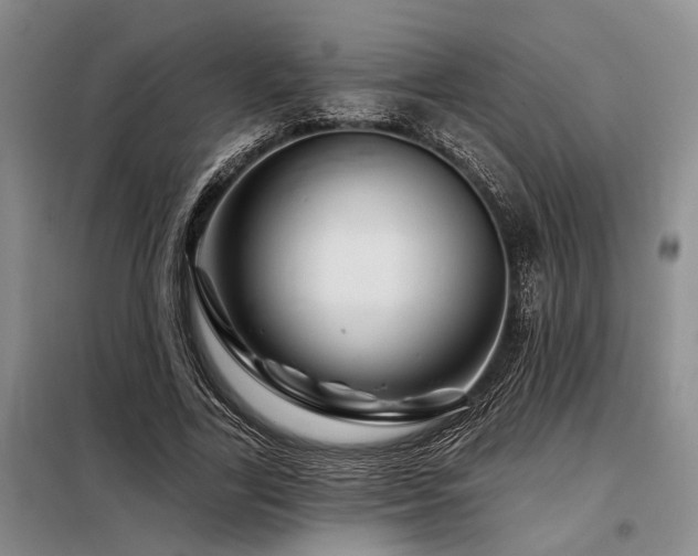 X0000098150731200804171612