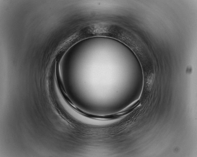 X0000098150732200804171612