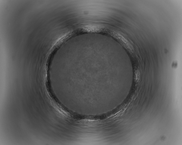 X0000098150733200804171612