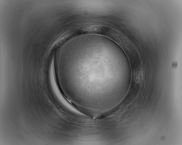 X0000098150735200804171612