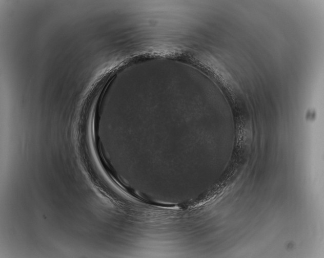 X0000098150736200804171612