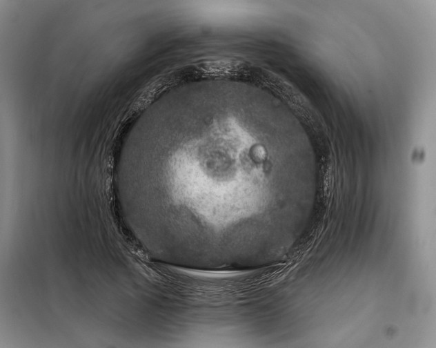 X0000098150737200804171612