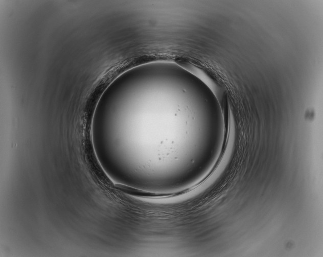 X0000098150739200804171612