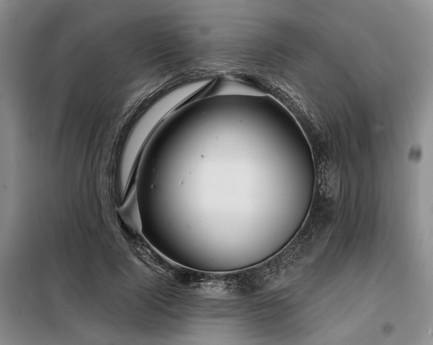 X0000098150740200804171612