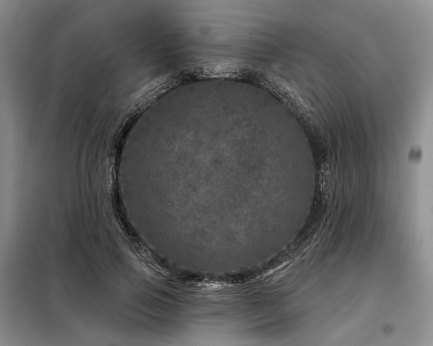 X0000098150741200804171612