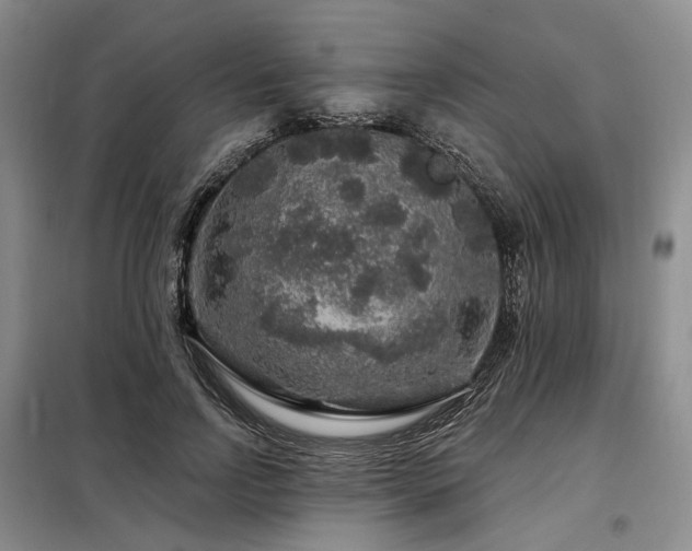 X0000098150742200804171612