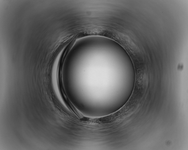 X0000098150743200804171612