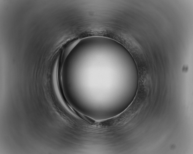 X0000098150744200804171612