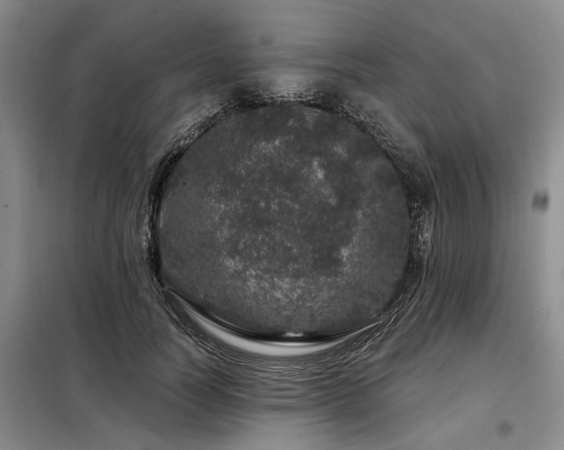 X0000098150746200804171612