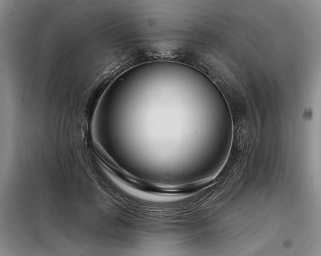 X0000098150747200804171612