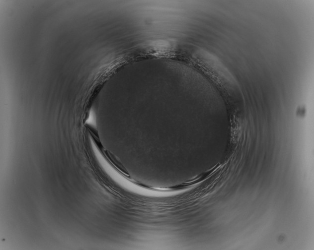 X0000098150748200804171612