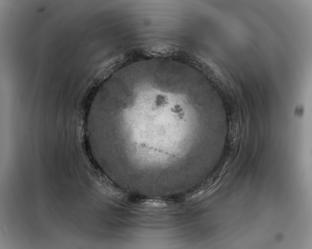 X0000098150749200804171612