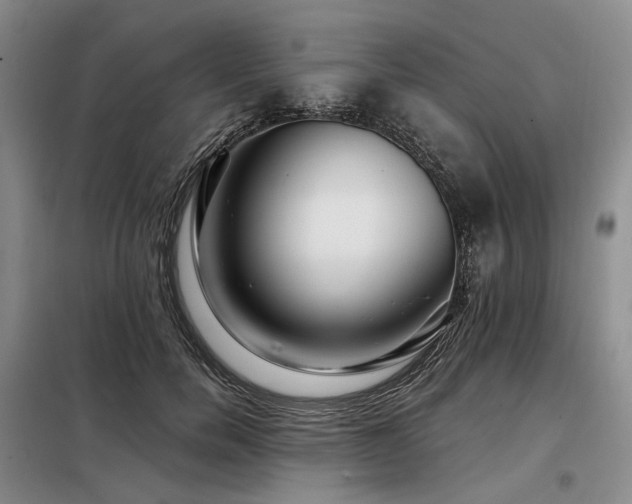 X0000098150750200804171612