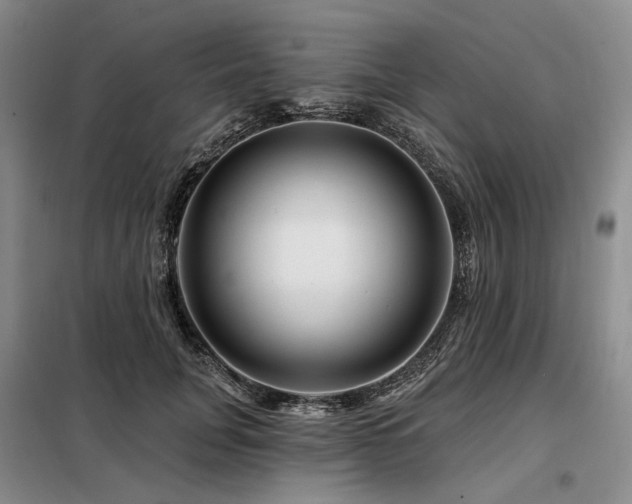 X0000098150751200804171612