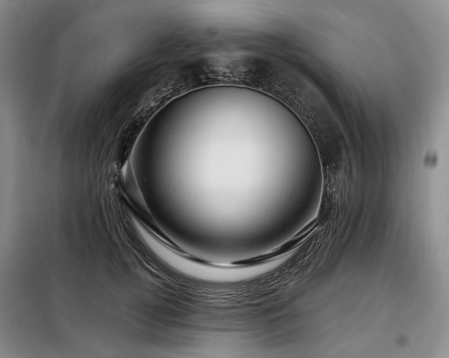 X0000098150752200804171612
