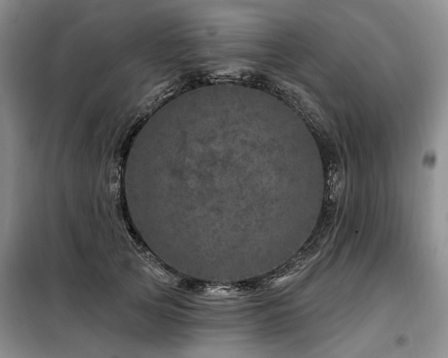 X0000098150753200804171612