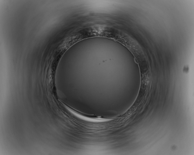 X0000098150754200804171612