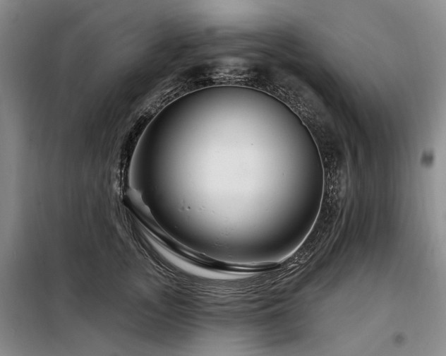 X0000098150755200804171612