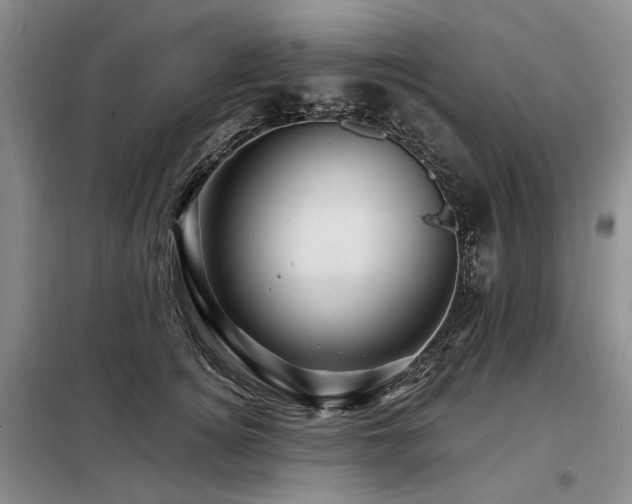 X0000098150756200804171612