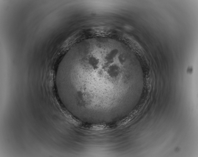 X0000098150757200804171613