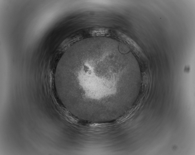 X0000098150761200804171613