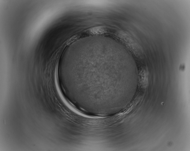 X0000098150762200804171613