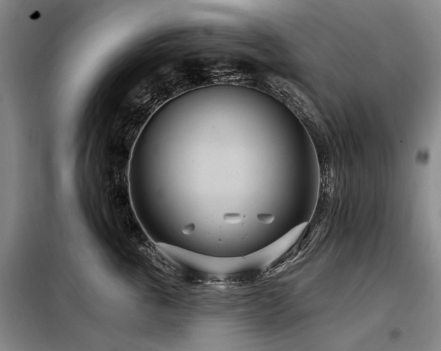 X0000098150763200804171613