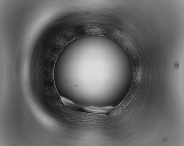X0000098150764200804171613