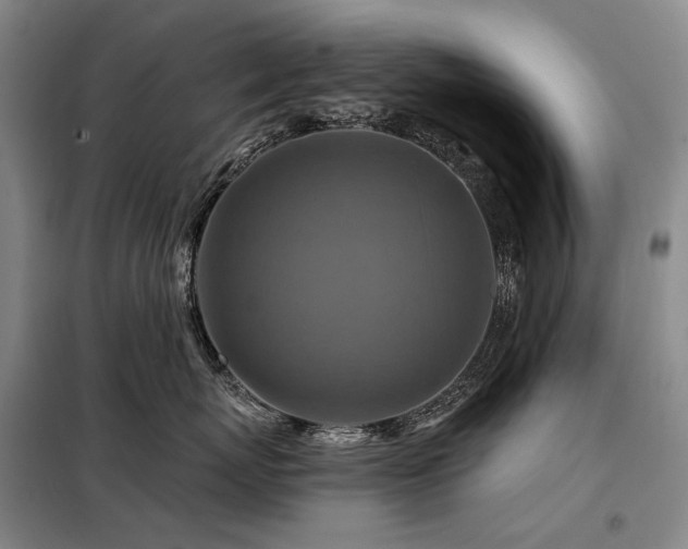 X0000098150767200804171613