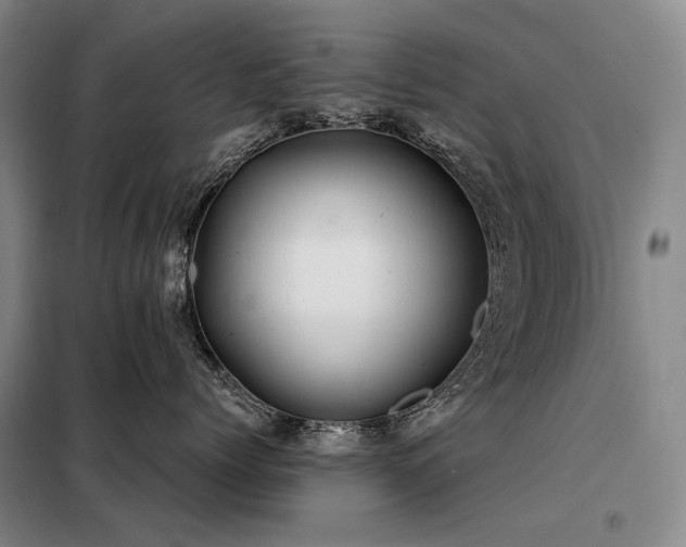 X0000098150768200804171613