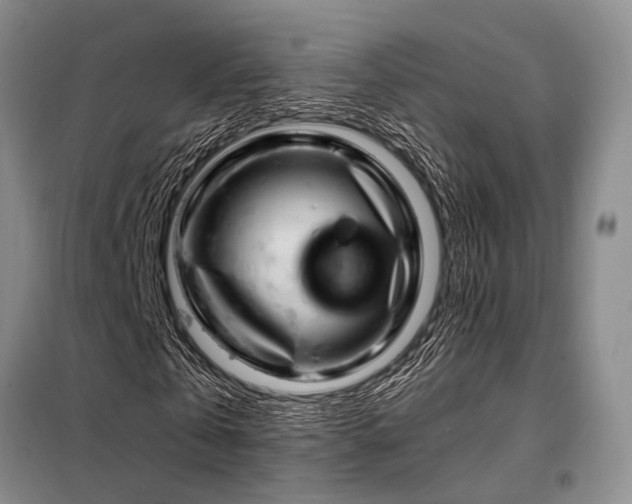 X0000098150769200804171612