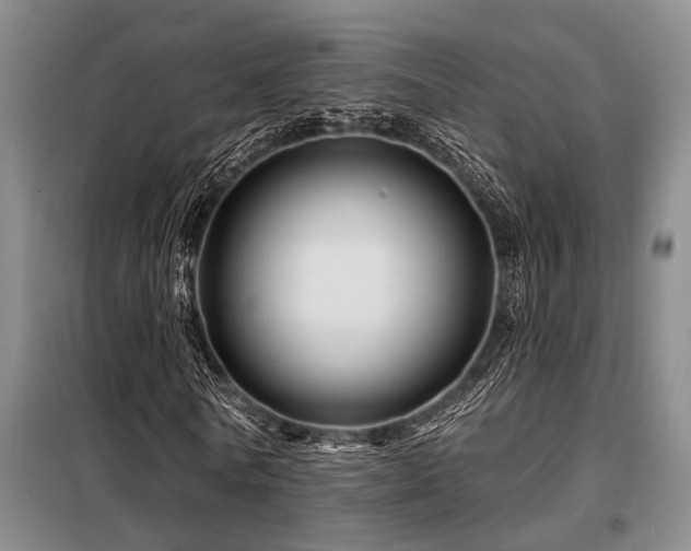 X0000098150770200804171612