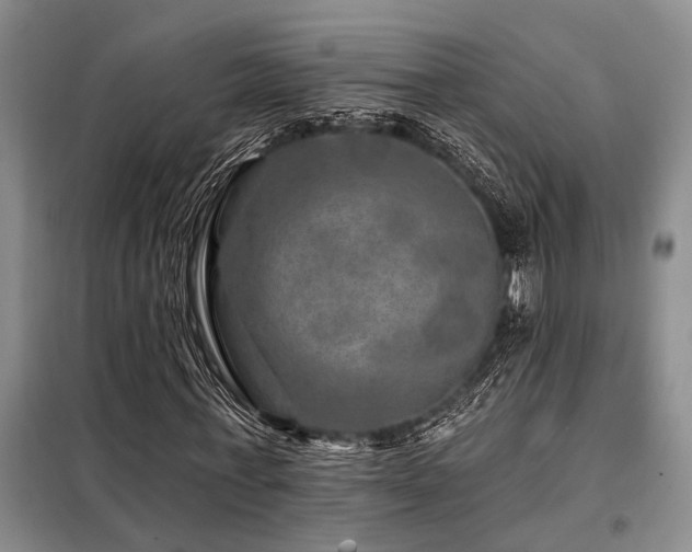 X0000098150771200804171612