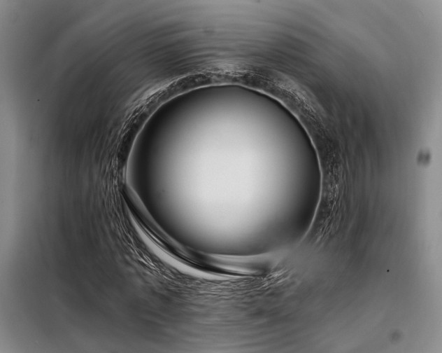 X0000098150773200804171612