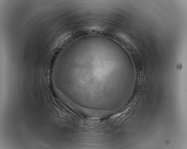 X0000098150774200804171612