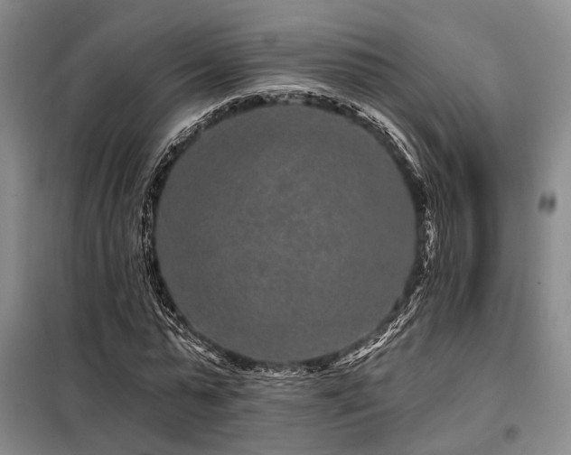 X0000098150775200804171612
