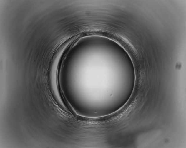 X0000098150777200804171612