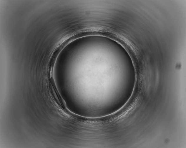 X0000098150778200804171612