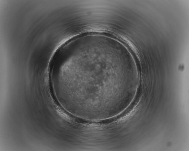 X0000098150779200804171612