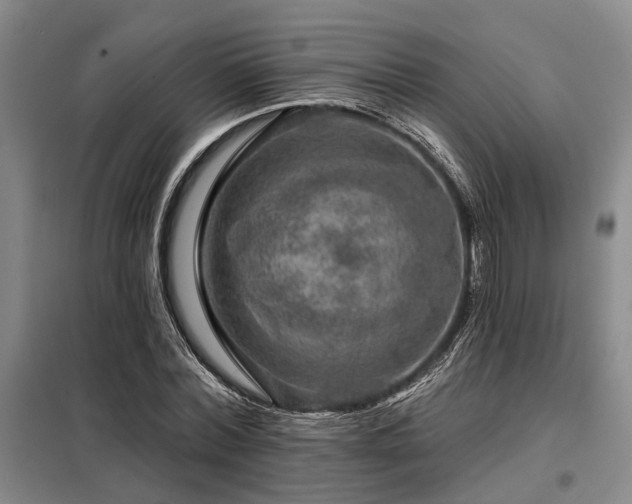 X0000098150780200804171612
