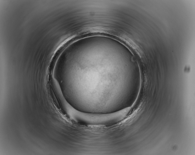 X0000098150782200804171612