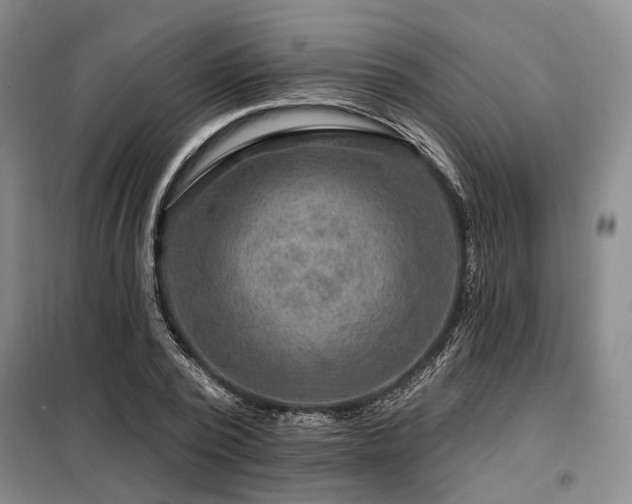 X0000098150784200804171612
