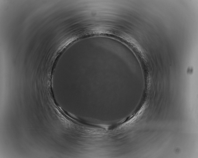 X0000098150785200804171612