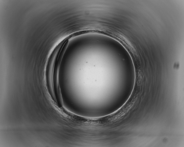 X0000098150788200804171612