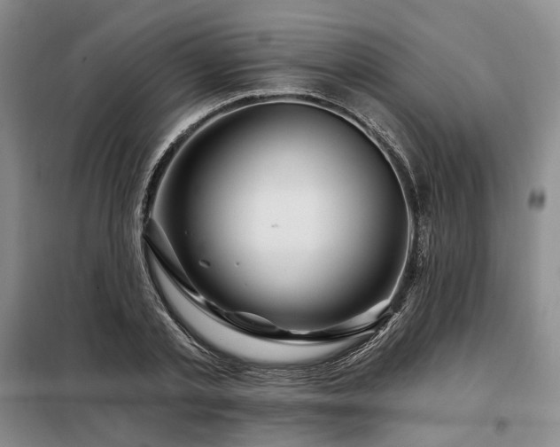 X0000098150789200804171612
