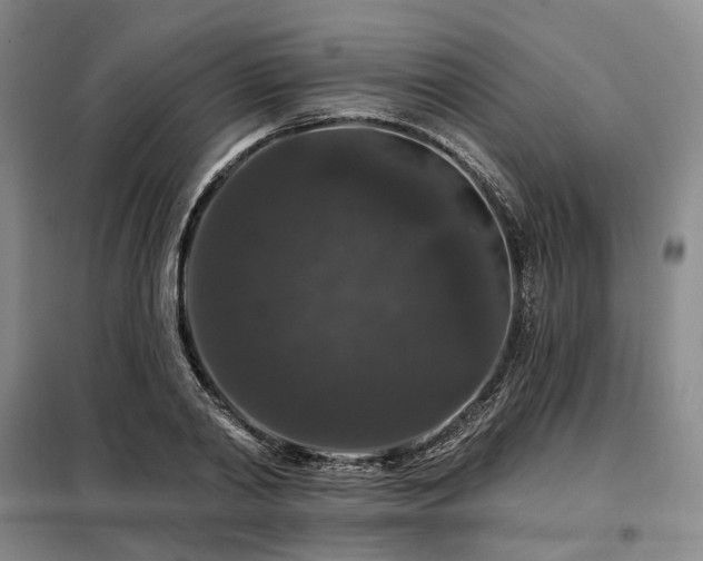 X0000098150790200804171612