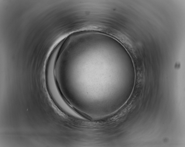 X0000098150792200804171612